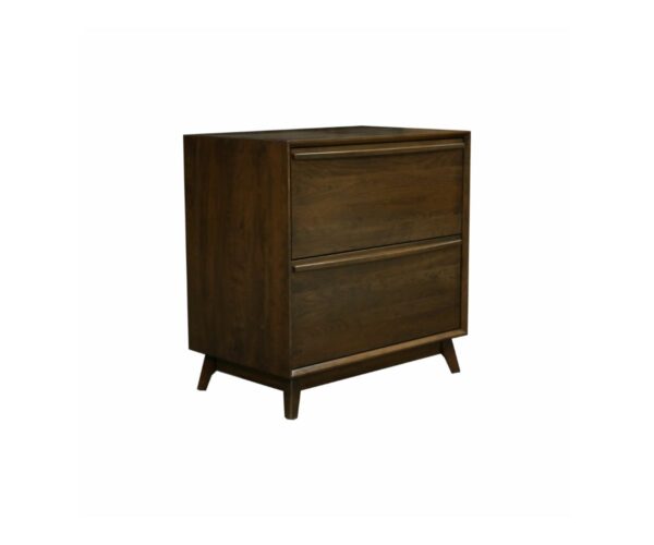 2 Drawer File